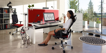 BLACK DOT v ambientu