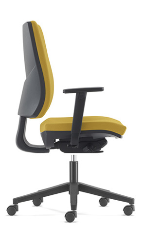 SY 204